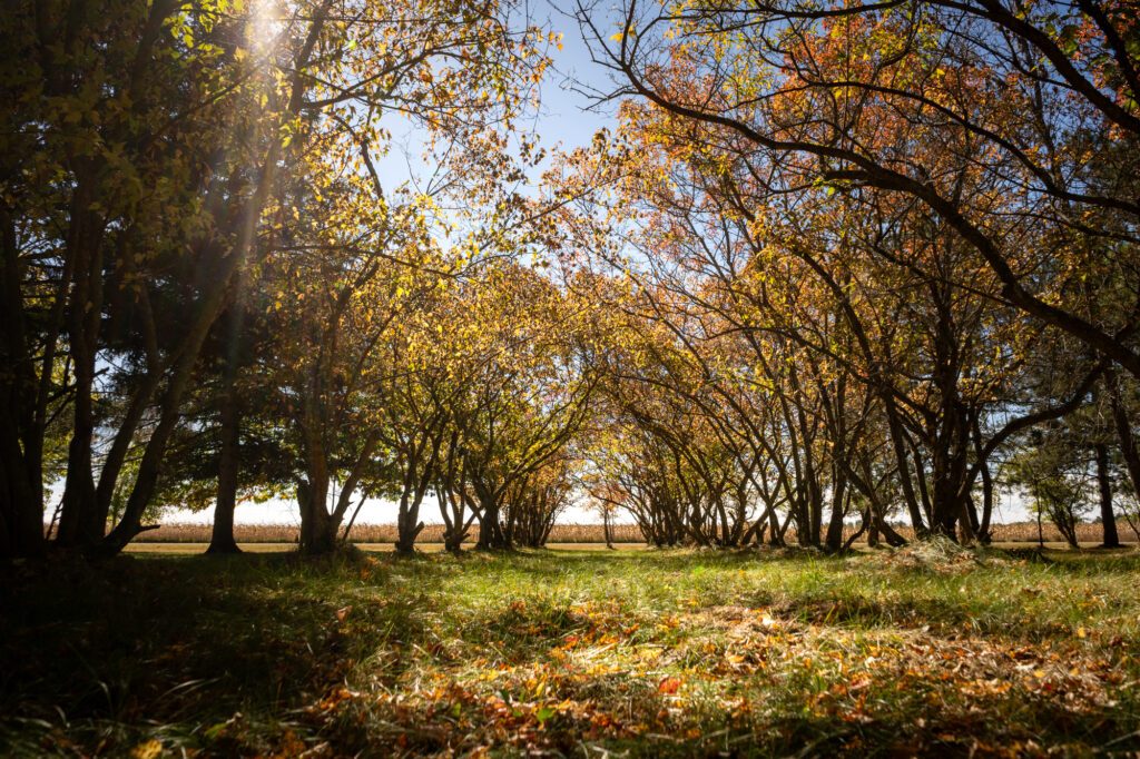 Your Home Sold Guaranteed Realty Exclusive