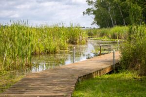 Your Home Sold Guaranteed Realty Exclusive